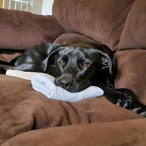 Looking for advice!!